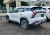 Geely Starray GK 2025